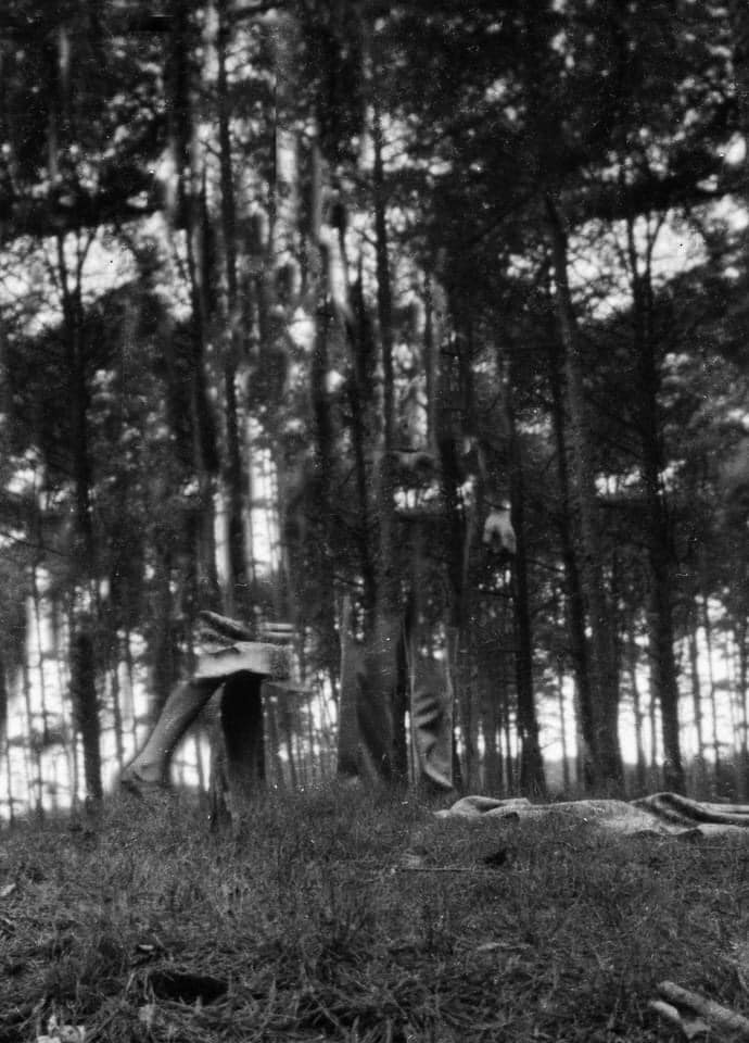 war is over clinckx becoming a tree